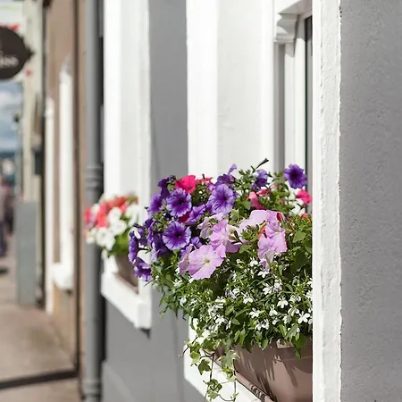 Macs Townhouse 4* Dungarvan (Waterford)